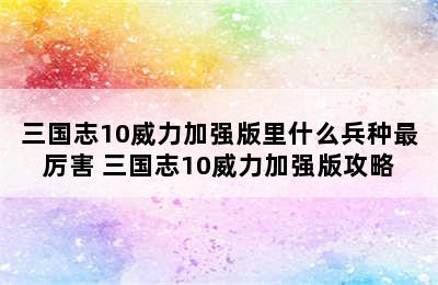 三国志10威力加强版里什么兵种最厉害 三国志10威力加强版攻略